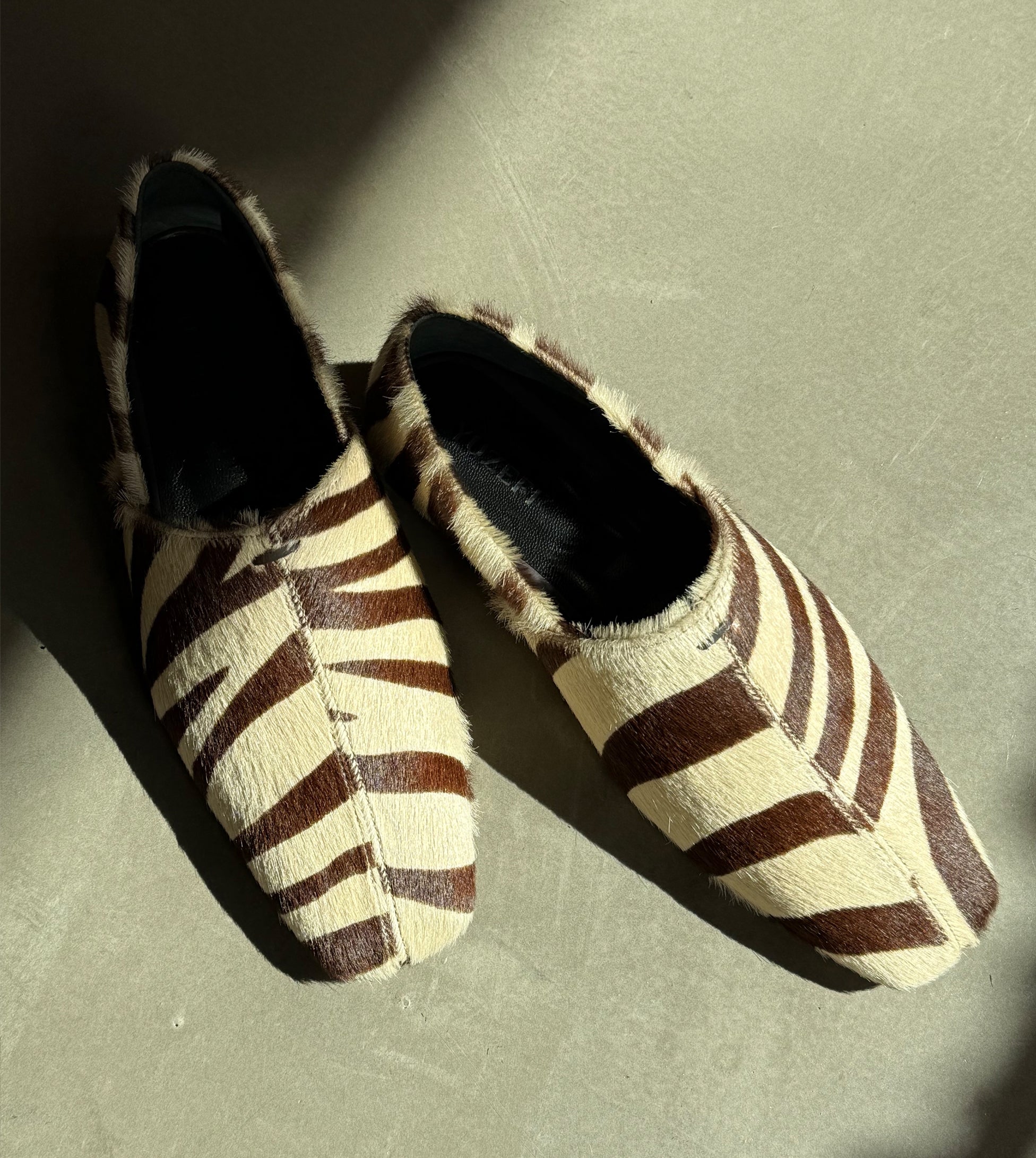 SHOESZEBLP.jpg