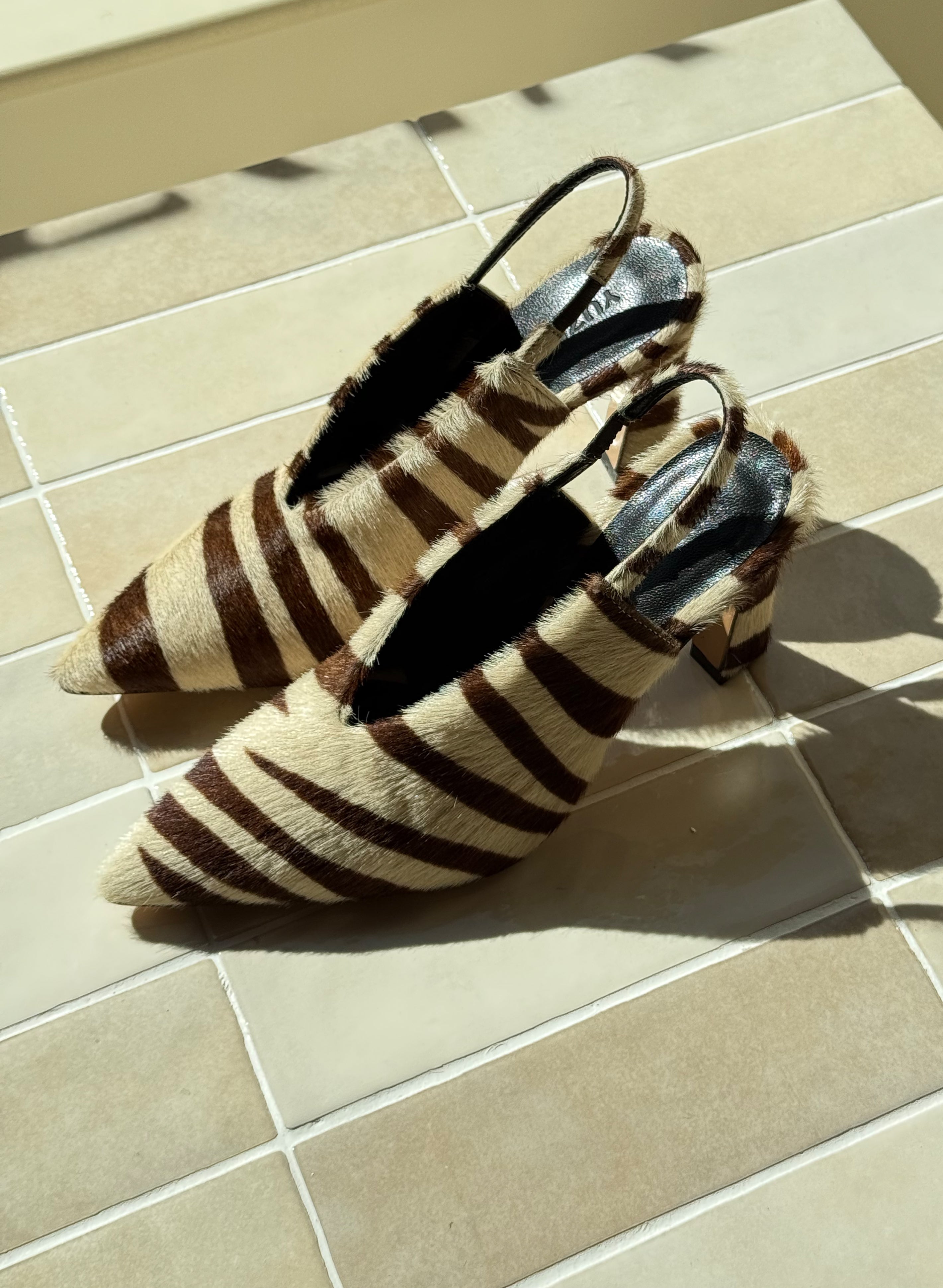 SHOES_LP_ZEB.jpg